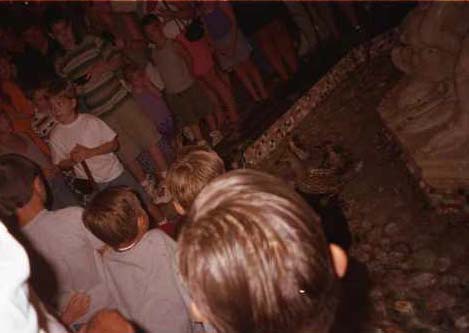 Back of childerns heads