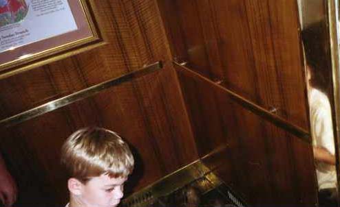 Somewhere in this photo is duck can you find it.