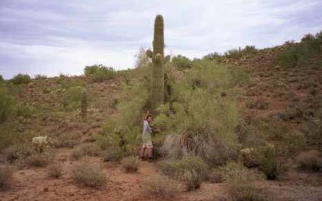 Desperate times desperate measures,<br></h1> having not seen my girlfriend for the last 2 months do you blame me