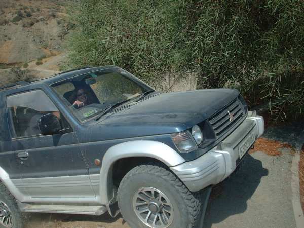 Sara's smile... is fear really, Avi's is madness