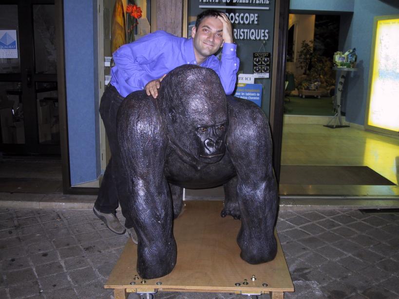 There is no similarity