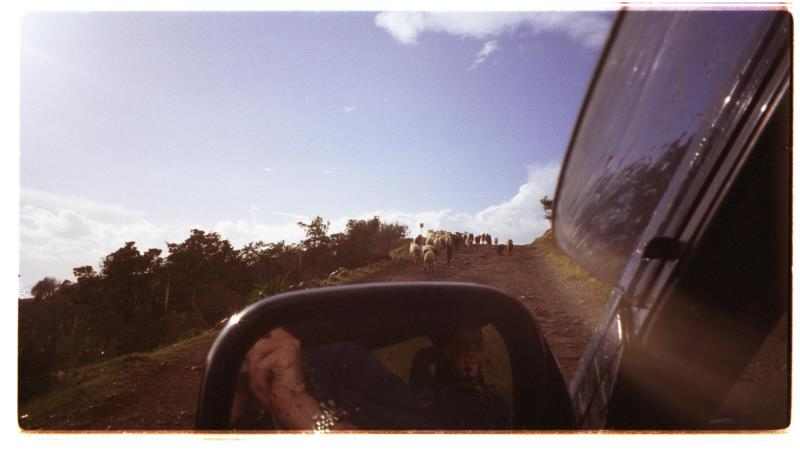 Agamas Bestiality Society's annual outing